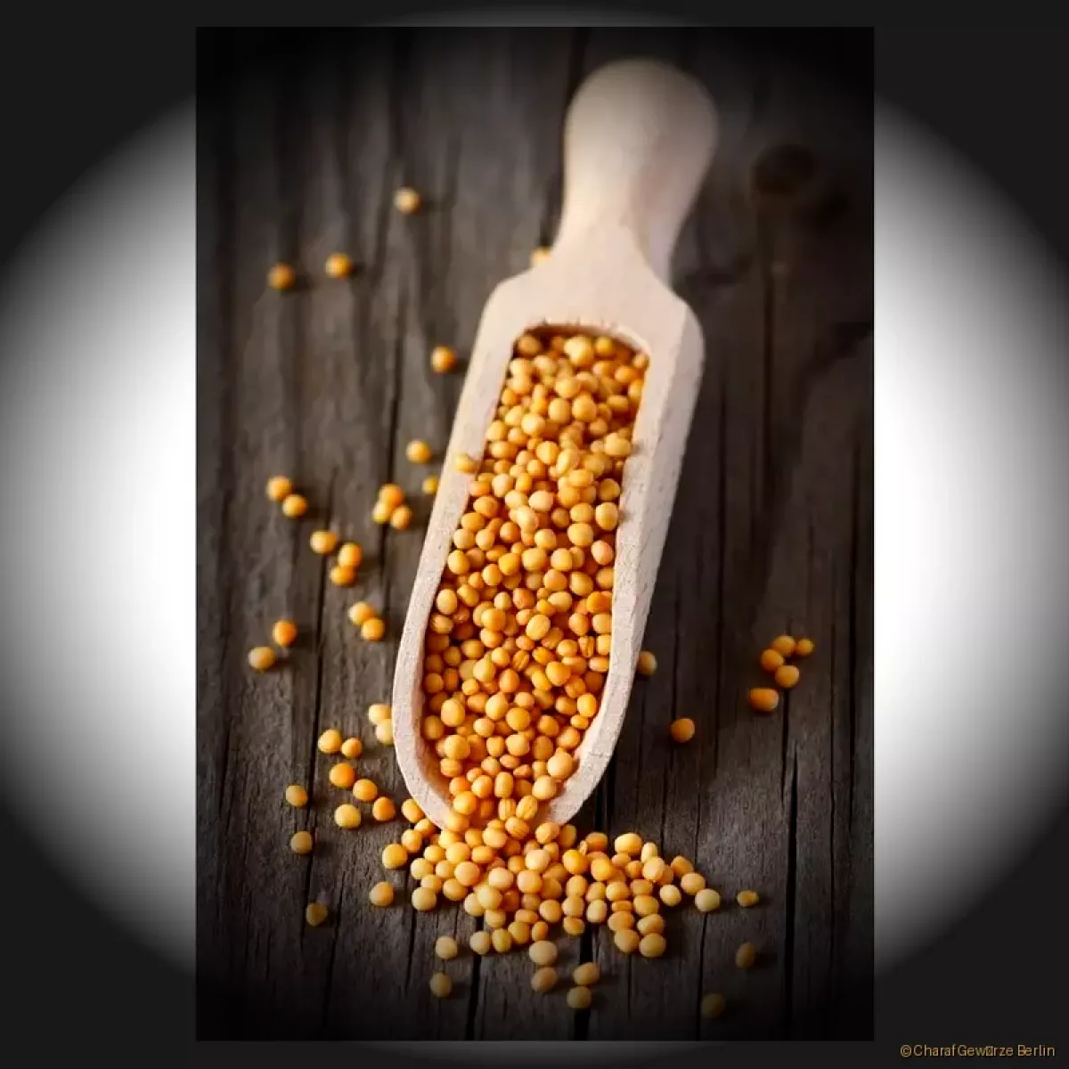 Senfkörner hell – kleine, cremig-gelbe Senfsamen mit mildem, nussig-würzigem Aroma und sanfter Schärfe