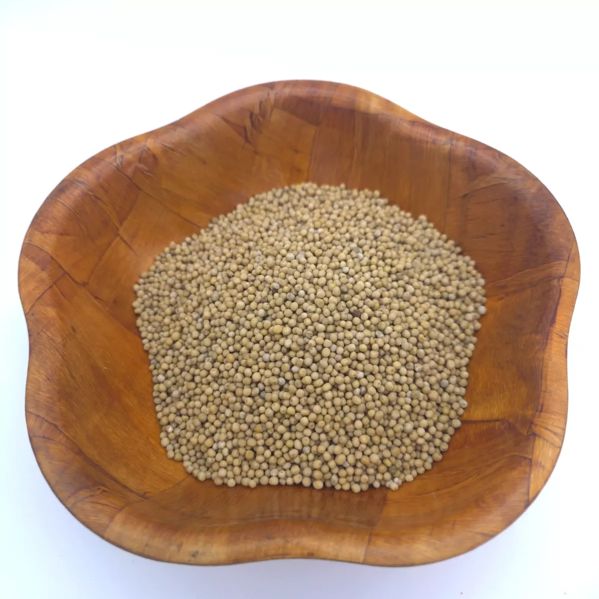 Senfkörner hell 100 g – Charaf Gewürze Berlin