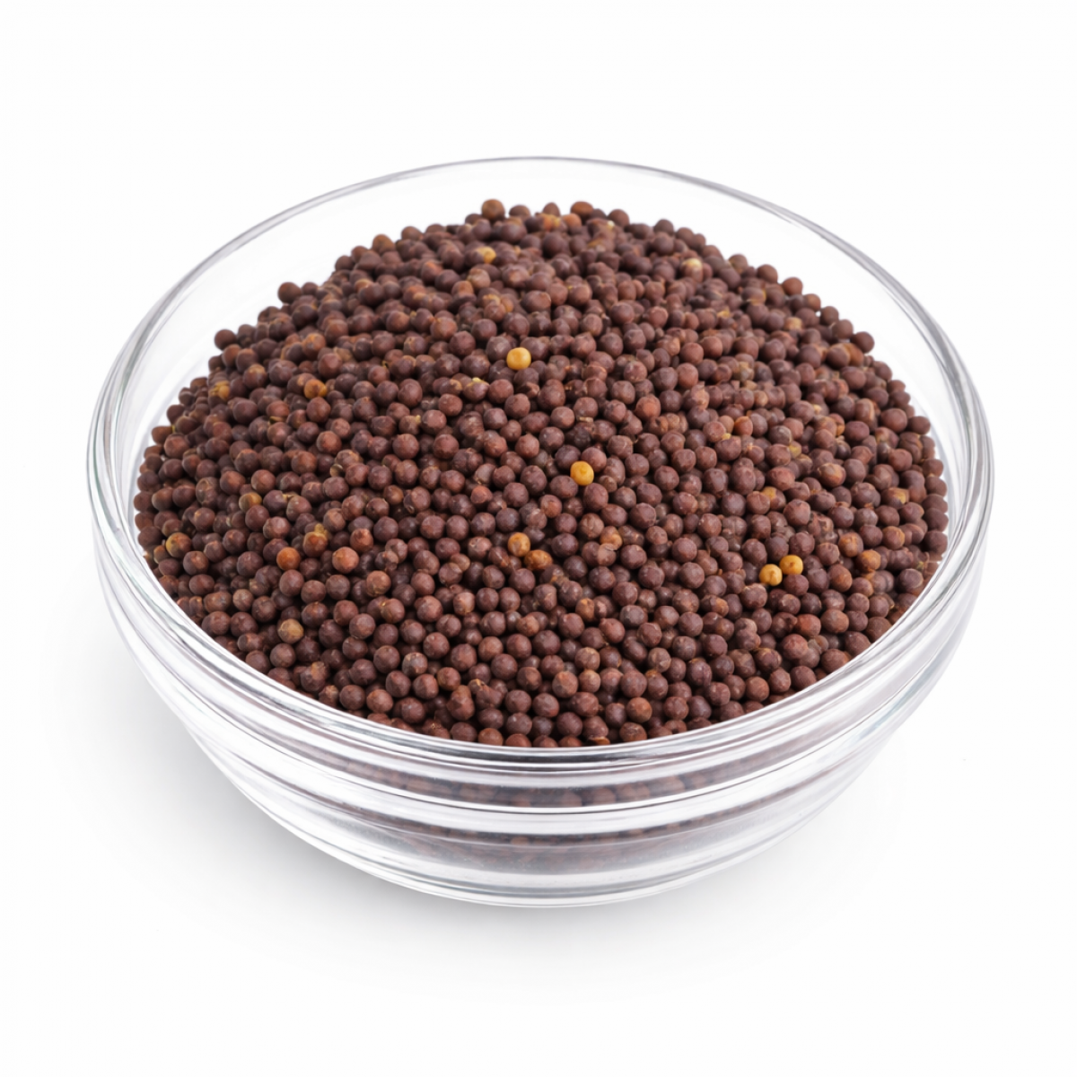 Senfkörner dunkel 100 g – Charaf Gewürze Berlin