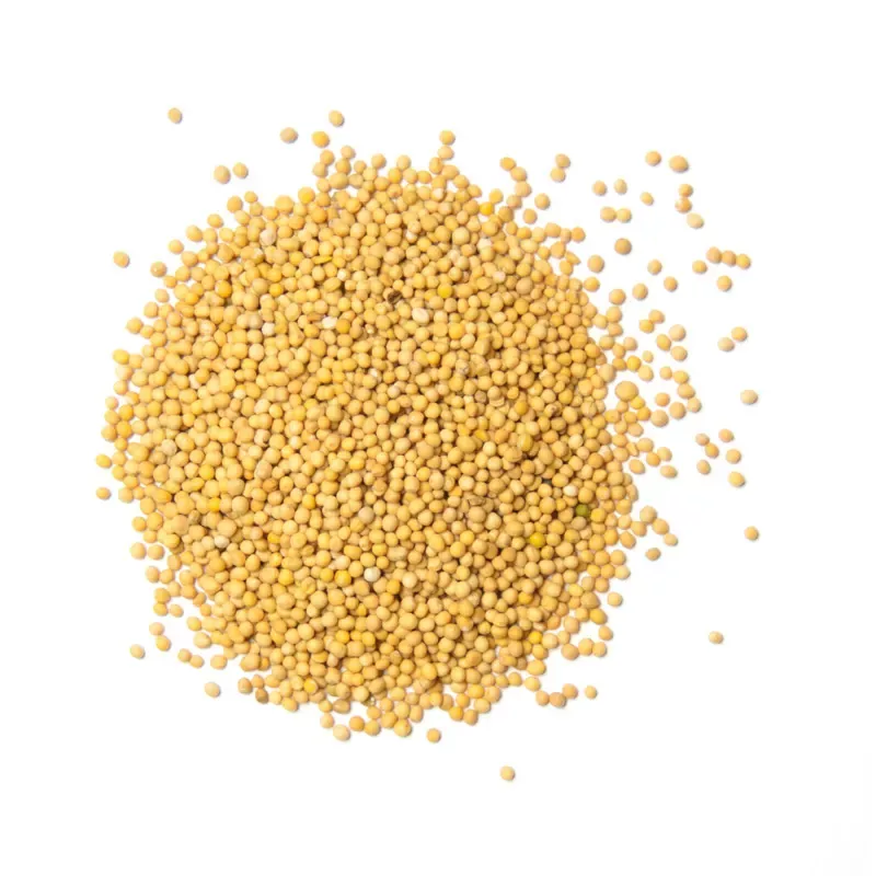Senf,Senfkörner hell,Senfkörner dunkel
