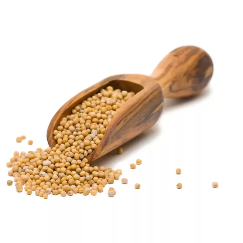 Senf,Senfkörner hell,Senfkörner dunkel