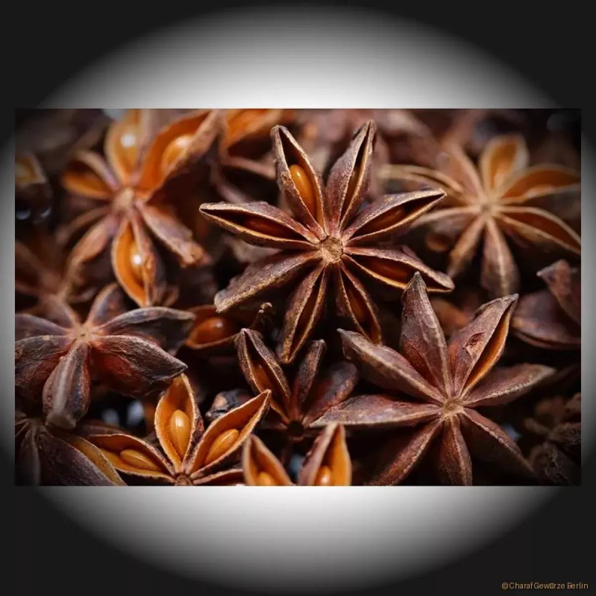 Sternanis ganz – ganze sternförmige Sternanis-Sterne mit intensiv süß-anisartigem Aroma und warmer Würze
