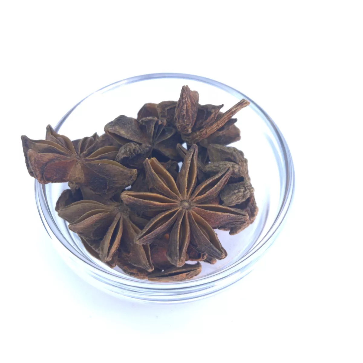 Sternanis Früchte – aromatisches Gewürz