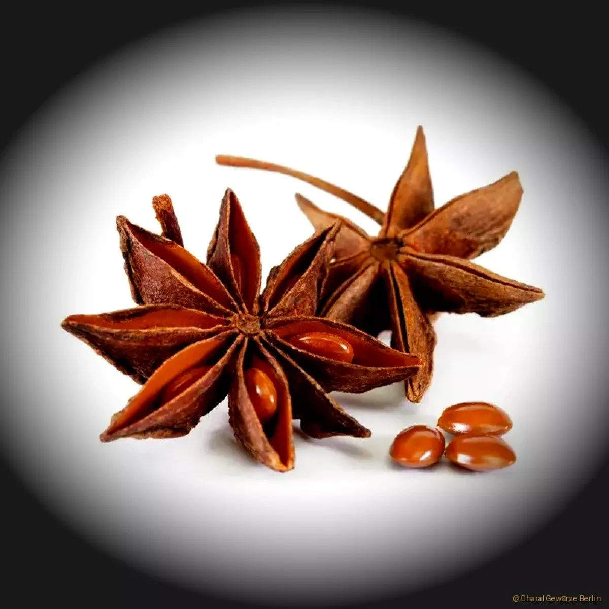 Sternanis ganz – ganze sternförmige Sternanis-Sterne mit intensiv süß-anisartigem Aroma und warmer Würze