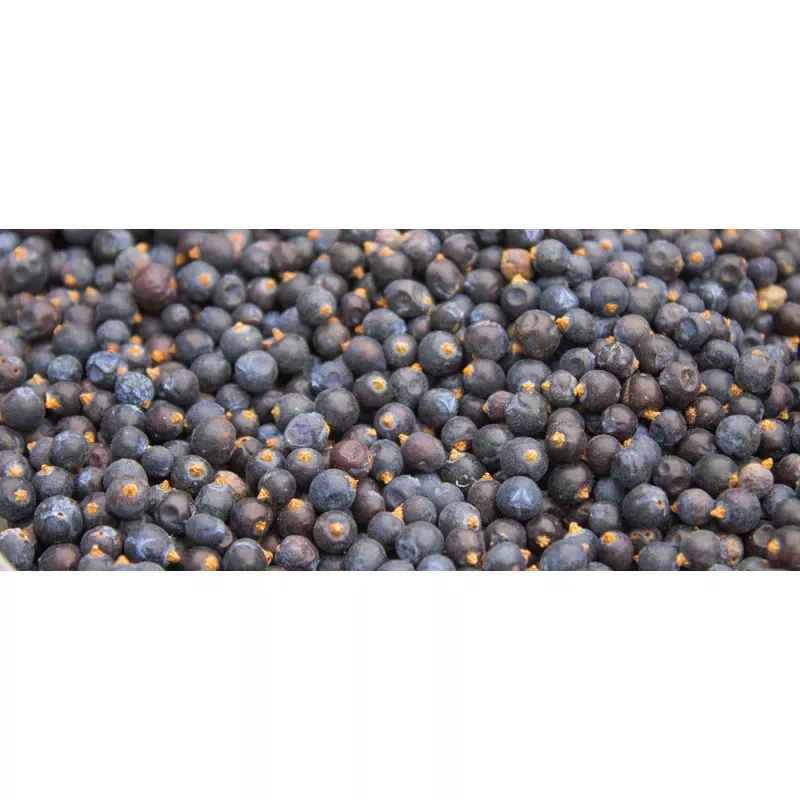 Wacholder,Wacholderbeeren