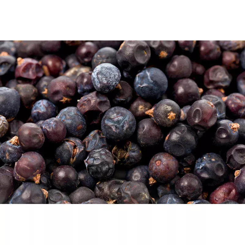 Wacholder,Wacholderbeeren