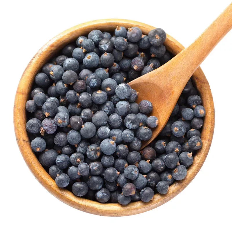 Wacholder,Wacholderbeeren