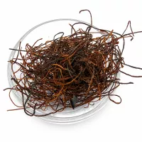 Chilifäden Gewürz – rote Chili Garnitur Premium Qualität