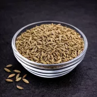 Cumin Kreuzkümmel