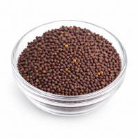 Senfkörner dunkel 100 g – Charaf Gewürze Berlin