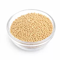 Senfkörner hell 100 g – Charaf Gewürze Berlin